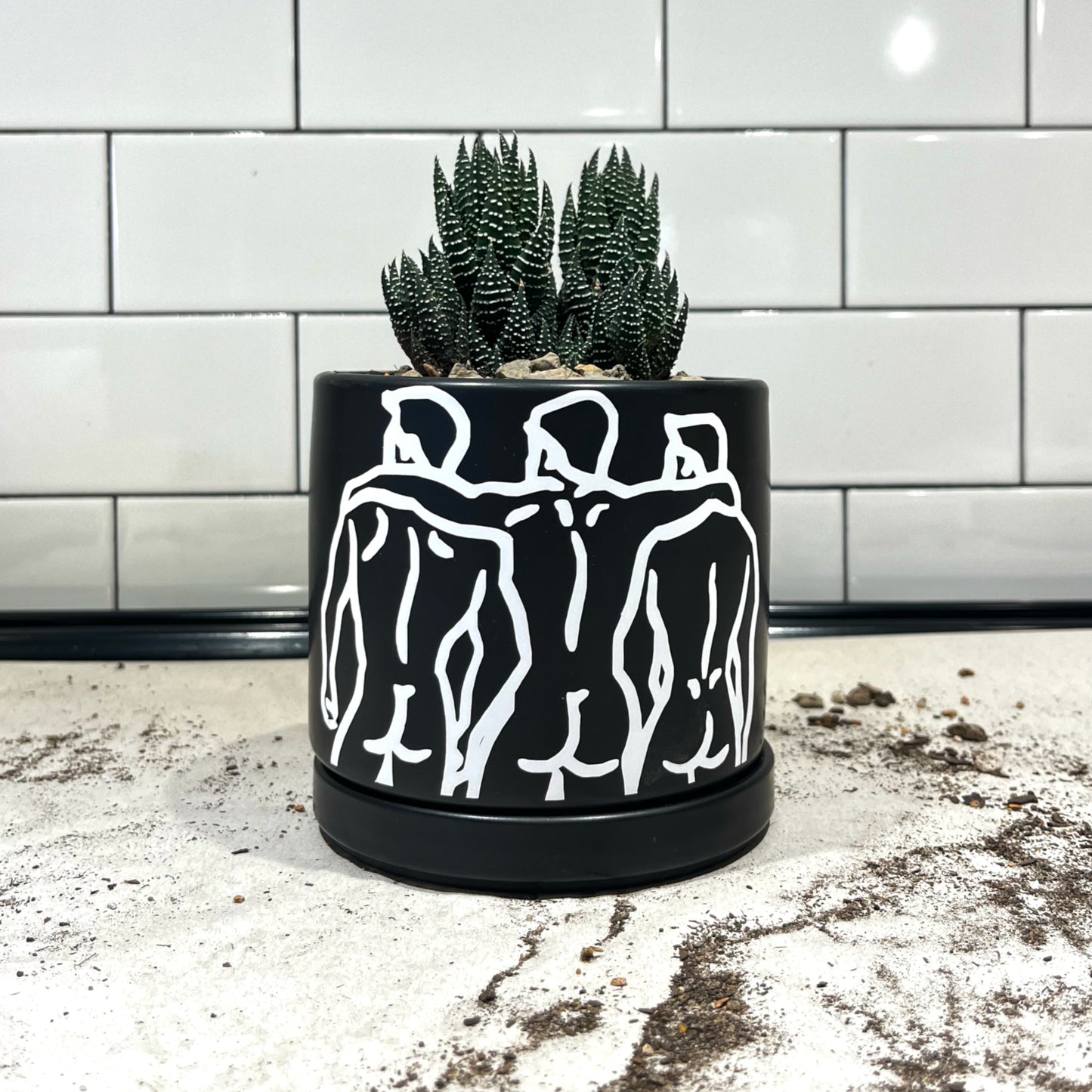 Artistry Bloom Succulent Planter: Matte Black