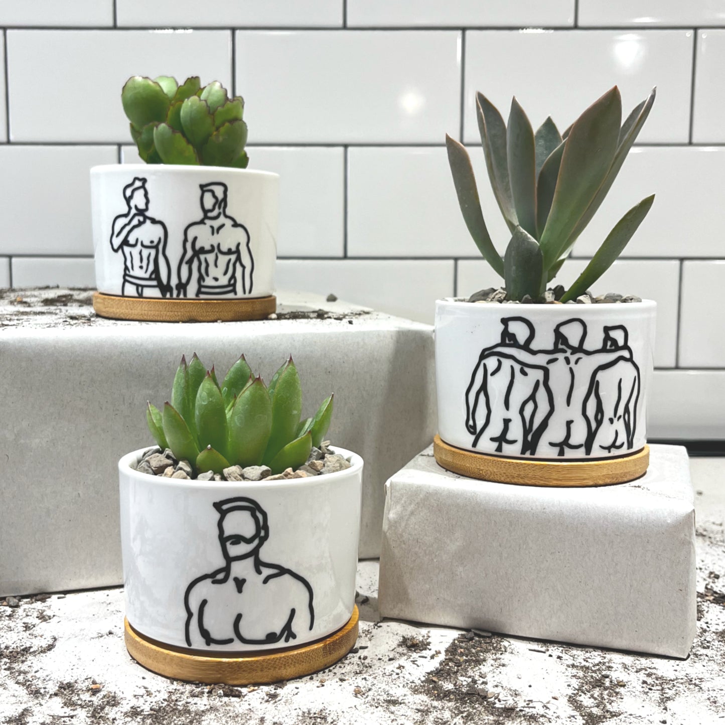 Botanical Beauty Mini Succulent Planter: White