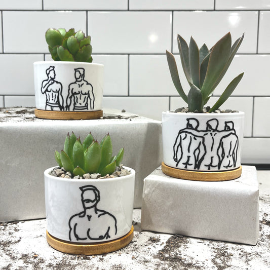 Botanical Beauty Mini Succulent Planter: White